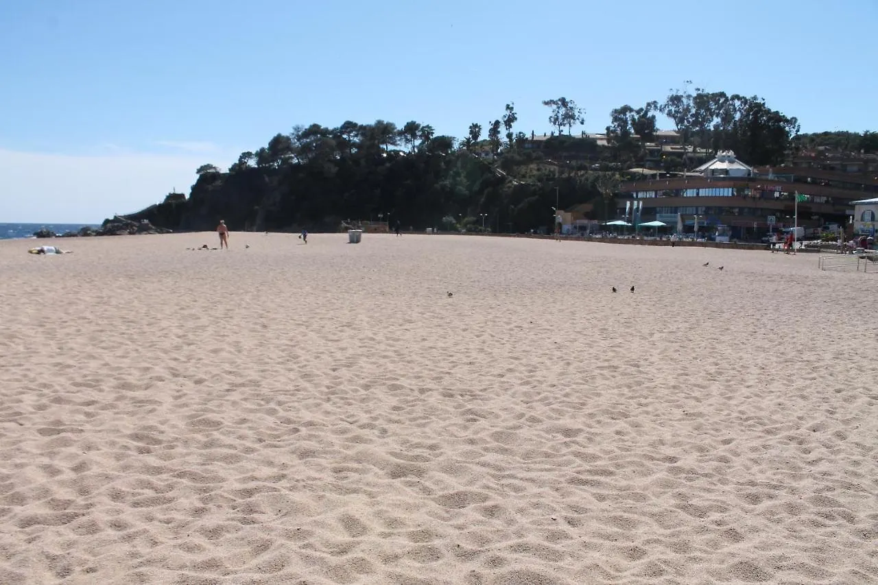 Piso Andrea Apartment Lloret de Mar 0*,
